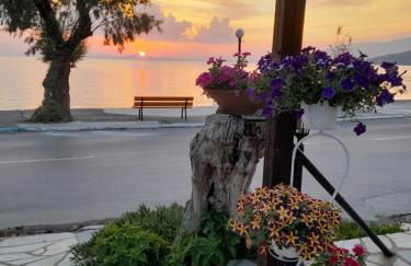 Γοργονα - Foto 1