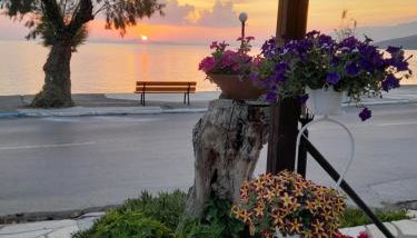 Γοργονα - Foto 1