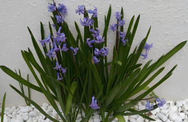 Gite au calme - Foto 13