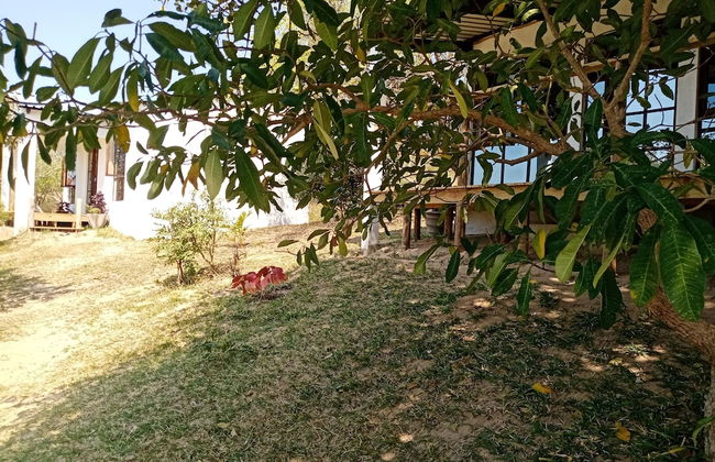 Restaurante Calor Tropical - Photo 64