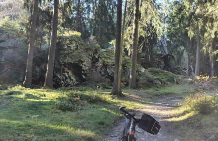 Ferienhaus Bringfriede - Foto 25