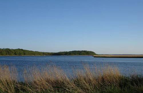 Haus Mövenort - Foto 4