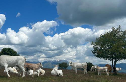 Da MammaMimma - Foto 36