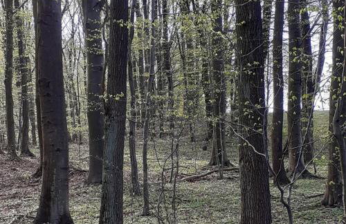 Marcinowa Zagroda - Foto 30