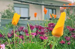 O Saramagal-Casa Nueva playa Area Brava - HIO - Foto 11