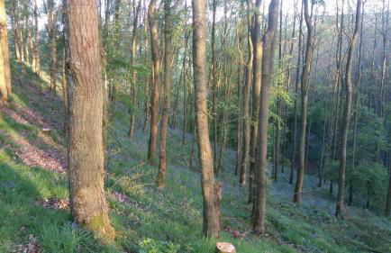 Low Nook Farm Holiday Cottage - Foto 24