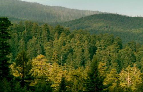 The Chaff House Country Cottage - Foto 16