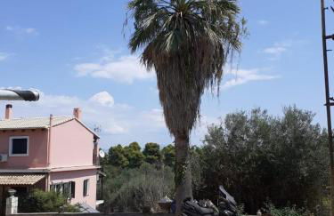 Corfu Cosy Apartment by the Nature - Foto 6