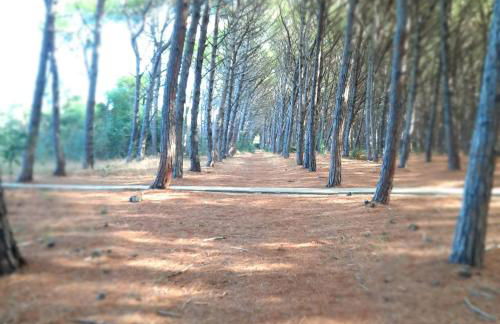 Pizzo Beach Club Luxury Apartment - Photo 7