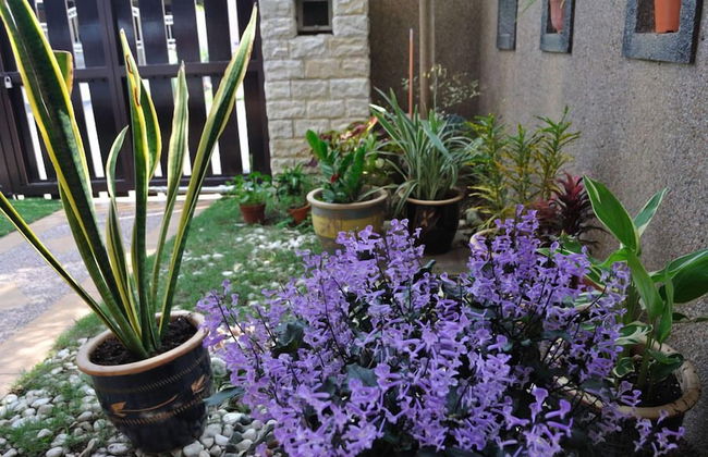 Garden Vacation Suite - Foto 14