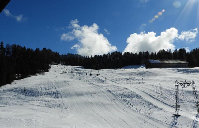 Dog-friendly Chalet in Bregenzerwald - Photo 35