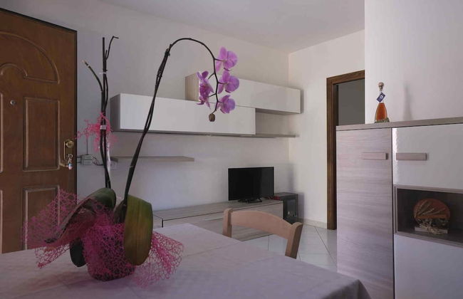 Aria di Vacanza - Zenzero - Photo 21