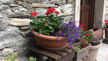 Casa Rimasco - Foto 4