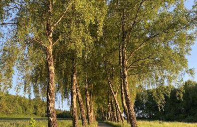 Wandern und Radeln im wunderschönen Teutoburger Wald - Natur Ferienpark 4 - Photo 33