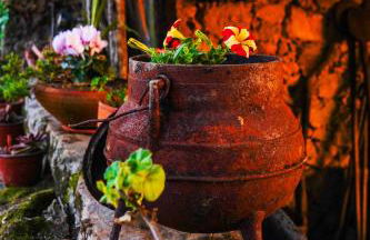 Casa do Ribeiro - Foto 24