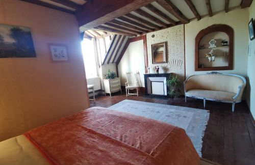 Chateau Chandler 17eme, Vallee de la Loire, Sologne, Centre Val de Loire - Foto 10