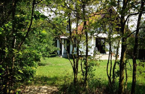 Przystan Kurpiowska - Foto 11