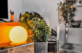 Stylish MCM Home by Frost Center - Foto 16