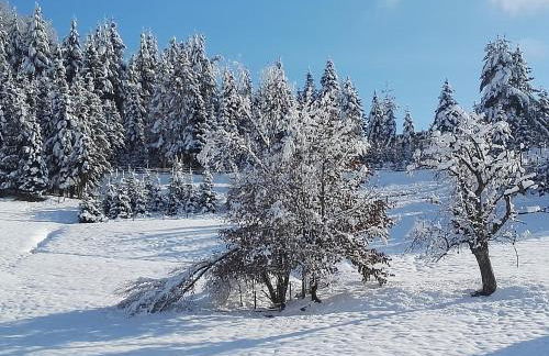 Haus Kristall - Foto 29