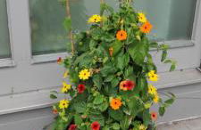 Ferienhaus am Bach - Foto 59