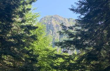 villa taro - Foto 28