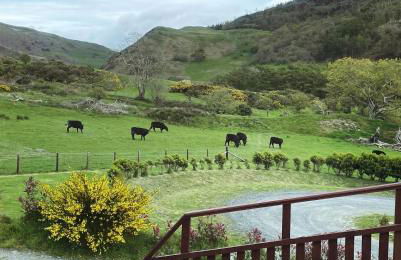 Cosy private Chalet - Foto 7