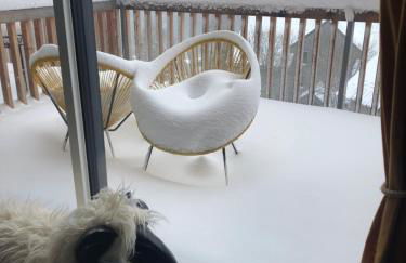 APPARTEMENT AUX PIEDS DES PISTES DE SKI - Photo 19