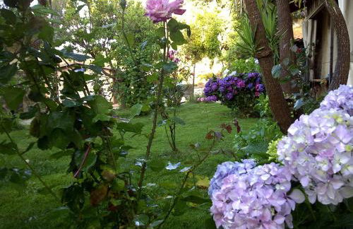 La Quercia - Foto 23