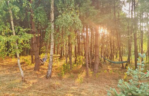 Dom Wakacyjny Brzozowy Gaj Bieszczady - Foto 22