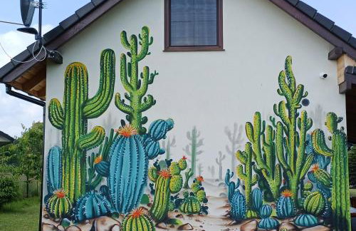 Domki Kaktus - Foto 2
