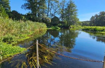 Leśna Przystań Bory Tucholskie - Foto 30