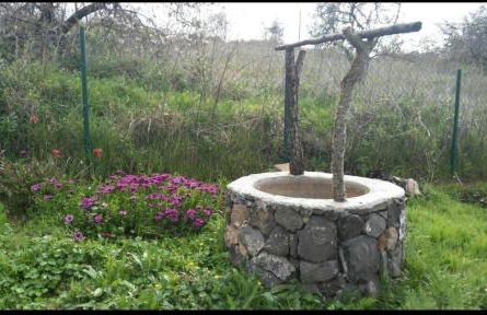 Casa El Sitio - Foto 6