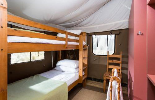 Snipe - Bleasdale - Foto 17