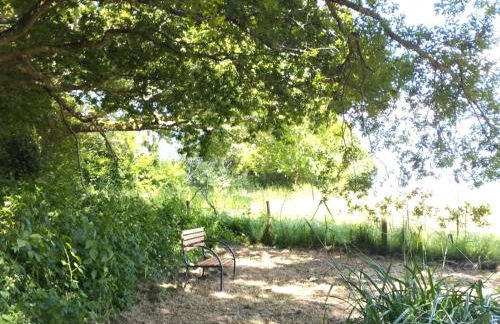 Idyllic Shepherds Hut glorious views to South Downs 'Perch' - Foto 28