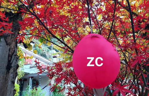 zentral club voltio-jacuzzi - Foto 26