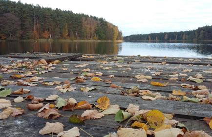 Serce Puszczy Wiartel - Foto 32