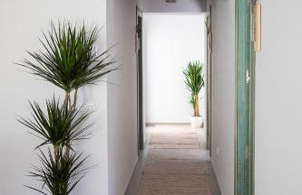 Alojamiento rural La Moravieta - Foto 31