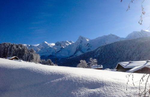 Chalet La Vigogne et Spa - Photo 29