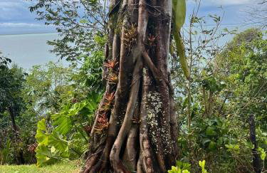 Céu do Morro - Foto 8