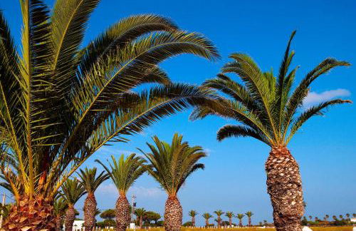 Casara Seis o Casara Siete - Tu casa a 100m de la playa de Zahora - Foto 33