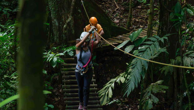 Zipline + Abseiling in Puerto Viejo de Limón - Foto 2
