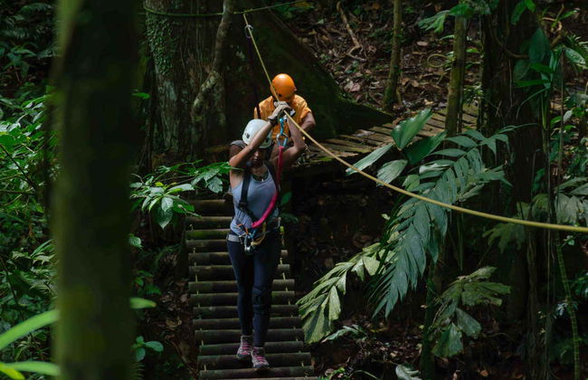Zipline + Abseiling in Puerto Viejo de Limón - Foto 1