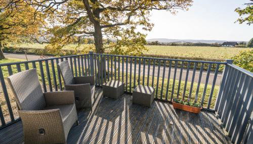 Dunroamin Apartment - Photo 3