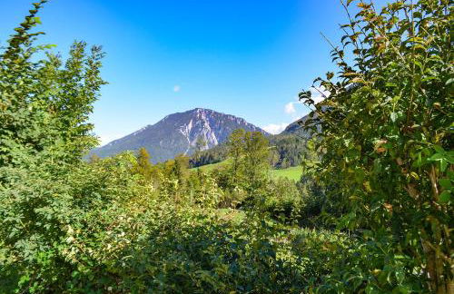 Almbauernhof - Foto 70