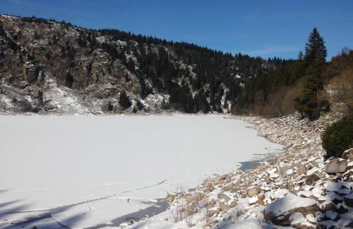 Un séjour ressourçant en Alsace entre vignes et montagnes l'Escapade Barochaise à 20mn de Colmar - Foto 25