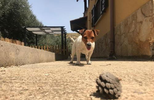 La dimora di Annette - Foto 10