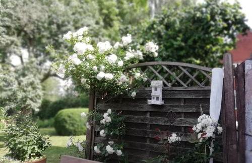 Alte Pastorei - Foto 13