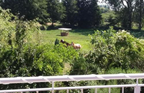 Apartment Schmetterling by Interhome - Foto 23