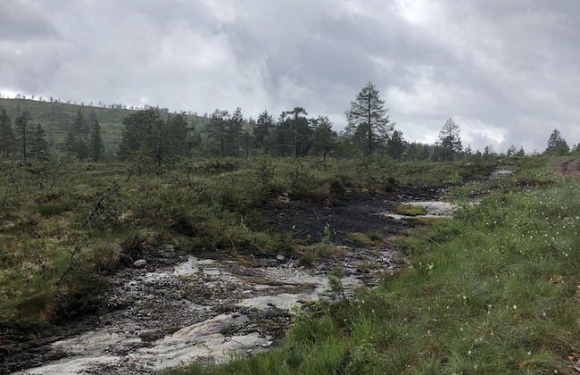 Hydlahytta Stryn - Foto 21