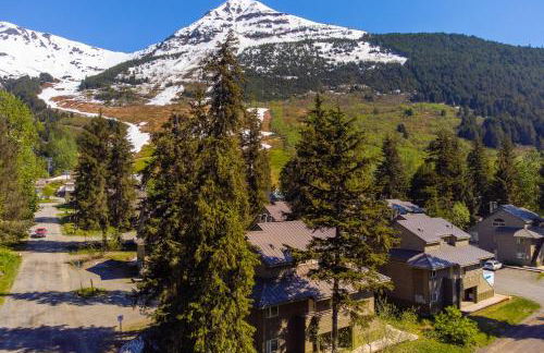 Snowbird Condo 195 - C - Photo 25